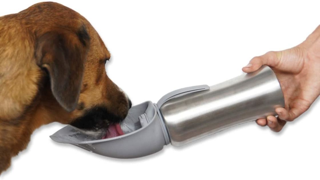 زجاجة مياه ساخنة من Stainless Travel Pets Dog مع وعاء سيليكون قابل للطي 42 أونصة / 1200 مل